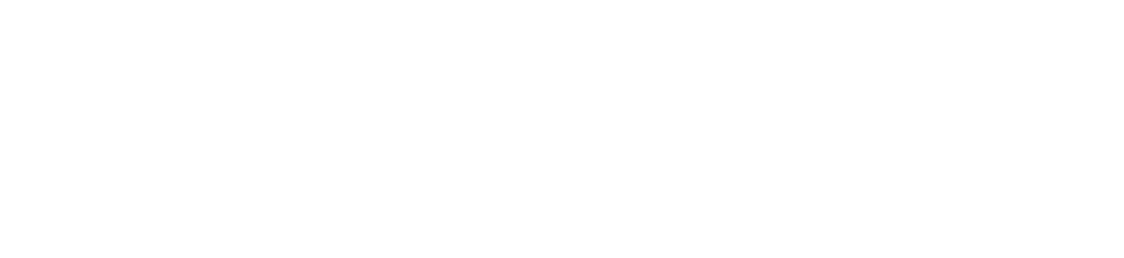 Complete SIM Garage Pro.com logo, White version